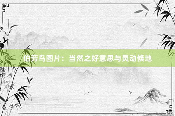 伯劳鸟图片:当然之好意思与灵动倏地